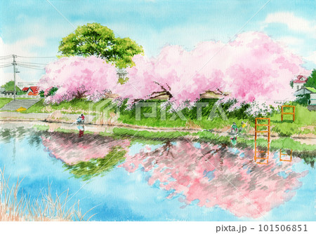 アナログ水彩風景画土手の桜と釣り人のイラスト素材 [101506851] - PIXTA