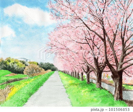 櫻花山水圖 櫻花樹模擬水彩山水畫銀行-插圖素材[101506853] - PIXTA圖庫