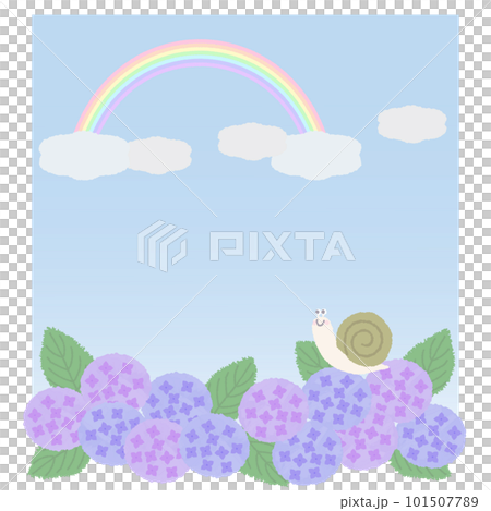 梅雨の晴れ間の虹と紫陽花の上のカタツムリ 101507789