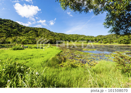 Beautiful Dongyuan Wetland Park in Pingtung, Taiwan. Beautiful Dongyuan Wetland Park in Pingtung, Taiwan. 101508070