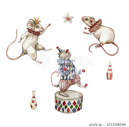 Watercolor circus composition in vintage style. Perfect for wedding, invitations, blogs, card templates, birthday and baby cards, patterns, quotes. isolater on white background.Cute circus animals. 101508096