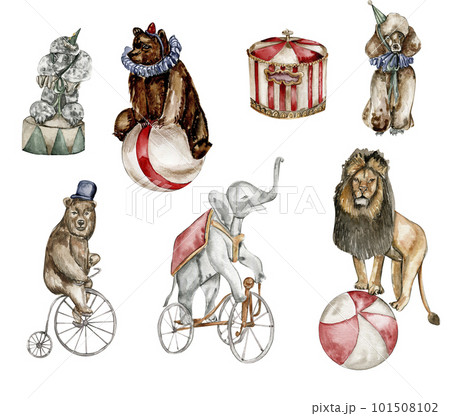 Watercolor circus composition in vintage style. Perfect for wedding, invitations, blogs, card templates, birthday and baby cards, patterns, quotes. isolater on white background.Cute circus animals. 101508102