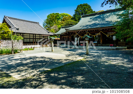大阪府島本町の水無瀬神宮　御社殿と客殿（重要文化財） 101508508