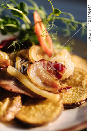 Macro photo of fried ring potatoes with bacon in a plate outdoor. Summer terrace Macro photo of fried ring potatoes with bacon in a plate outdoor. Summer terrace 101508960