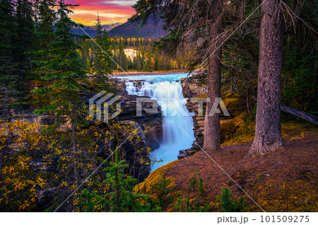 Sunset above Athabasca Falls in Jasper National Park, Canada Sunset above Athabasca Falls in Jasper National Park, Canada 101509275