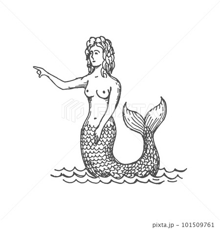 Young mermaid with sea shell isolated underwater fantasy creature with tail and long hair. Vector sketch of mermaid mystical woman with fish tail Young mermaid with sea shell isolated underwater fantasy creature with tail and long hair. Vector sketch of mermaid mystical woman with fish tail 101509761
