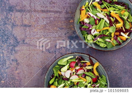 Vegetable vitamin salad with wild garlic 101509885