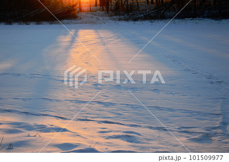 Winter landscape. Snowy field at sunset. The sun's rays make their way through the snow. Evening Winter landscape. Snowy field at sunset. The sun's rays make their way through the snow. Evening 101509977