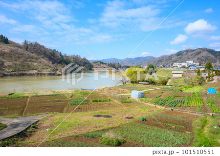 対岸のろうかく梅園と犀川と広がる畑【春】 101510551