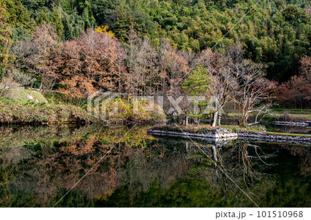 白水ノ池の水鏡 白水ノ池の水鏡 101510968
