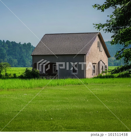 Modern house with green grass field 101511438
