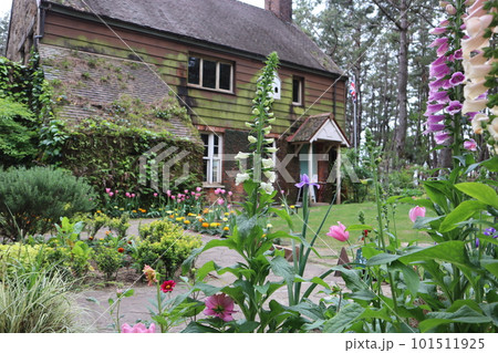 春の英国式庭園 101511925