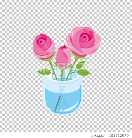 ピンク　バラ　生花 101512079