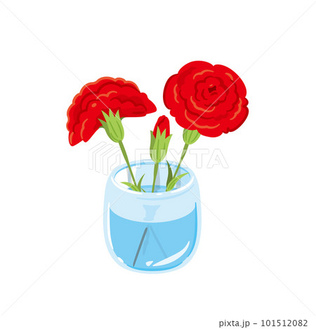 赤 カーネーション 生花 赤 カーネーション 生花 101512082