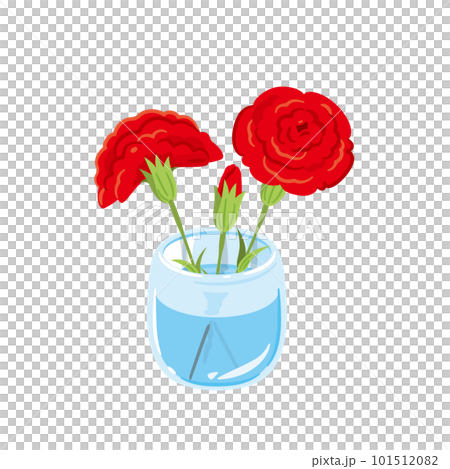 赤 カーネーション 生花 赤 カーネーション 生花 101512082