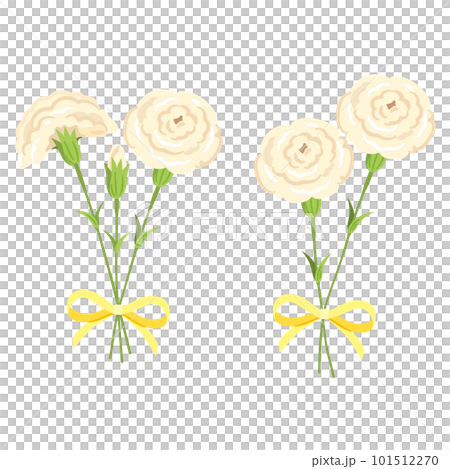 白いカーネーション　花束3 101512270