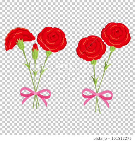 赤いカーネーション 花束3 赤いカーネーション 花束3 101512273