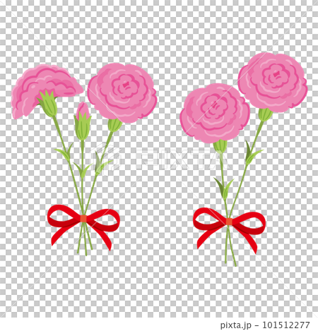 ピンクのカーネーション 花束3 ピンクのカーネーション 花束3 101512277
