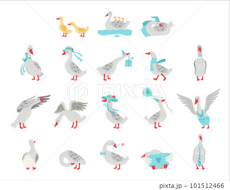 Goose Domestic Bird Wearing Blue Hat, Sleeping in Night Cap and Carrying Gift Box Vector Big Set Goose Domestic Bird Wearing Blue Hat, Sleeping in Night Cap and Carrying Gift Box Vector Big Set 101512466