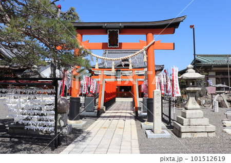 青空の豊国神社　稲荷社鳥居　長浜　長浜市　滋賀県　 101512619