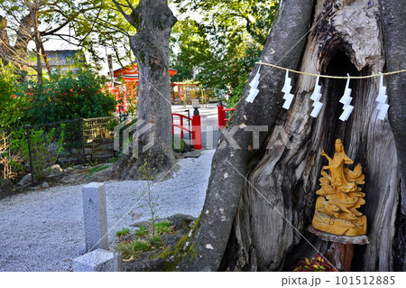 龍神池 秩父今宮神社 埼玉県秩父市中町 101512885