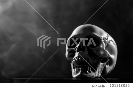 Human skull in smoke on a black background. Halloween. Monochrome. Human skull in smoke on a black background. Halloween. Monochrome. 101513026