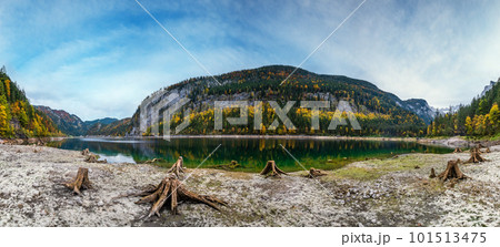 Tree stumps near Gosauseen or Vorderer Gosausee lake, Upper Austria. Colorful autumn alpine view of mountain lake with clear transparent water and reflections. Dachstein summit and glacier in far. Tree stumps near Gosauseen or Vorderer Gosausee lake, Upper Austria. Colorful autumn alpine view of mountain lake with clear transparent water and reflections. Dachstein summit and glacier in far. 101513475