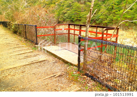 早春の旧福知山線 廃線跡の待避所 早春の旧福知山線 廃線跡の待避所 101513991
