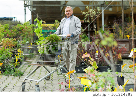 Man choosing seedlings in market Man choosing seedlings in market 101514295