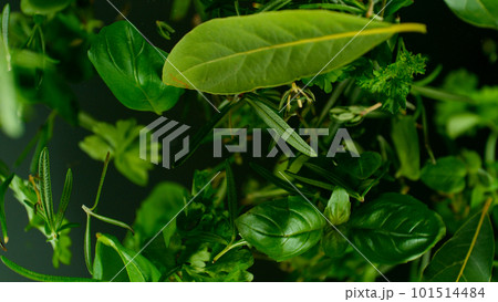 Fresh Various Spices Falling on Black Background 101514484