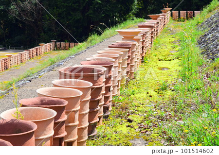 【国指定史跡】ナガレ山古墳 101514602