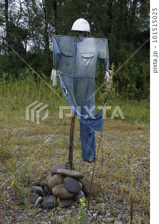鬼怒川河川敷に立つかかし：栃木県内 101515025