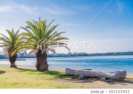 （静岡県）晴天の浜名湖弁天島 101515422