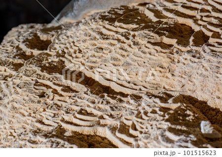 マイクログール 101515623