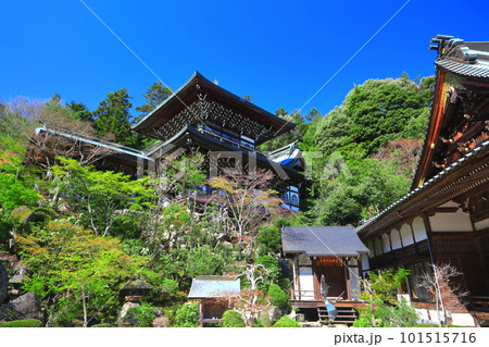 【広島県】晴天の大聖院の観音堂と魔尼殿（宮島） 101515716