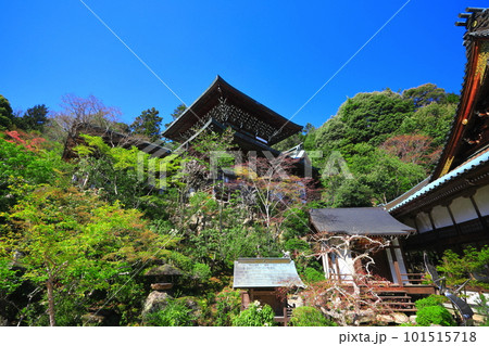 【広島県】晴天の大聖院の魔尼殿（宮島） 101515718