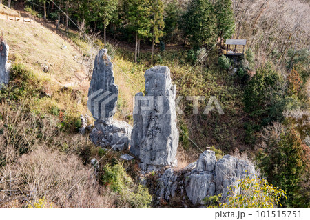 夫婦岩 101515751