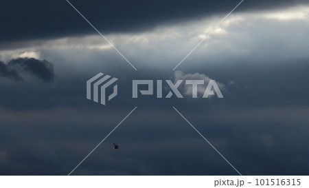 風が強かった夕方に雲間から射した光芒と光線に照らされた雲・春・望遠・空のみ・230318pm 風が強かった夕方に雲間から射した光芒と光線に照らされた雲・春・望遠・空のみ・230318pm 101516315