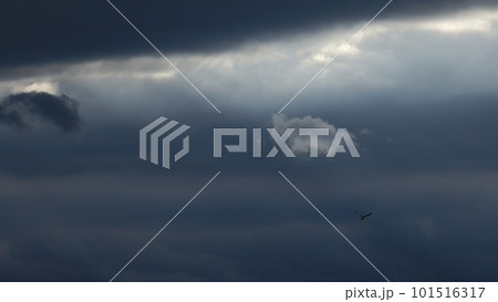 風が強かった夕方に雲間から射した光芒と光線に照らされた雲・春・望遠・空のみ・230318pm 風が強かった夕方に雲間から射した光芒と光線に照らされた雲・春・望遠・空のみ・230318pm 101516317