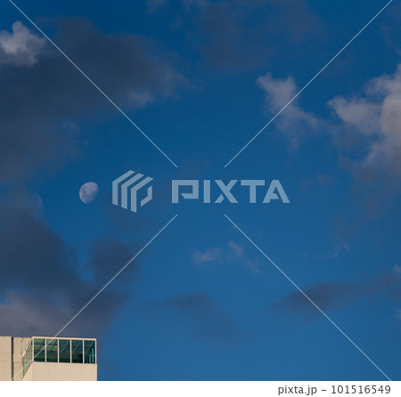 Luxurious Penthouse with Breathtaking Skyline View 101516549