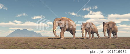 Herd of elephants roaming the savannah Herd of elephants roaming the savannah 101516931