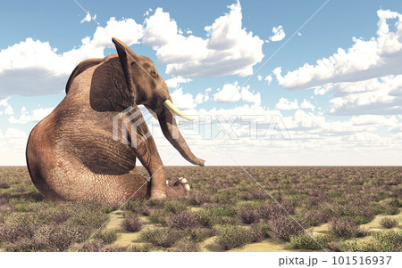 Sitting elephant in the savannah Sitting elephant in the savannah 101516937