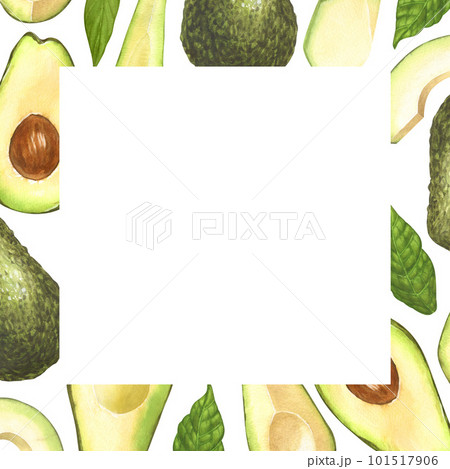 Watercolor frame, ripe avocado and halves...のイラスト素材 [101517906] - PIXTA