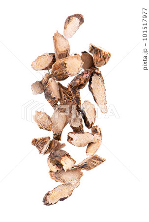 Calamus root isolated on white background. Sweet flag, sway or muskrat root, vasambu. Dry root of Acorus calamus. Top view. Calamus root isolated on white background. Sweet flag, sway or muskrat root, vasambu. Dry root of Acorus calamus. Top view. 101517977
