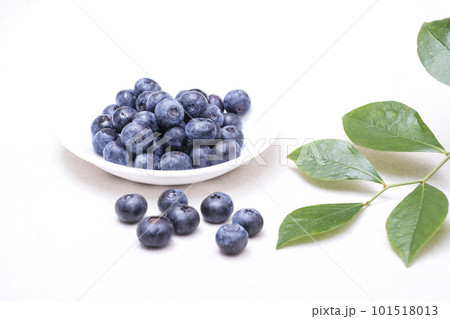 収穫したブルーベリー　ブルーベリーの実と葉　健康食材　イメージ素材 101518013