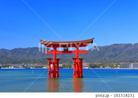 【広島県】改修後の厳島神社大鳥居（宮島） 101518231