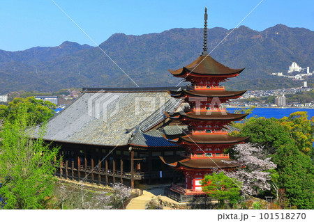 【広島県】満開の桜と厳島神社の五重塔と豊国神社（宮島） 101518270