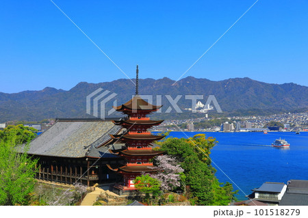 【広島県】満開の桜と厳島神社の五重塔と豊国神社(宮島) 【広島県】満開の桜と厳島神社の五重塔と豊国神社(宮島) 101518279