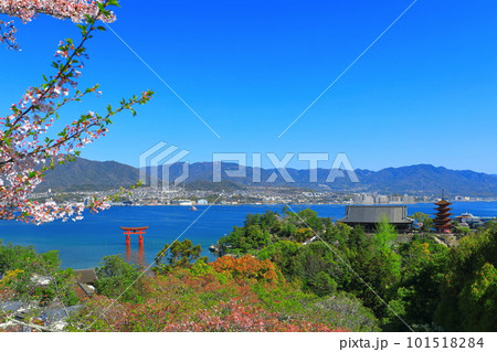 【広島県】晴天の厳島神社大鳥居と五重塔と豊国神社（宮島） 101518284