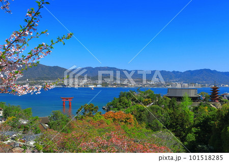 【広島県】晴天の厳島神社大鳥居と五重塔と豊国神社(宮島) 【広島県】晴天の厳島神社大鳥居と五重塔と豊国神社(宮島) 101518285